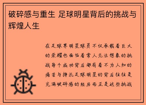破碎感与重生 足球明星背后的挑战与辉煌人生
